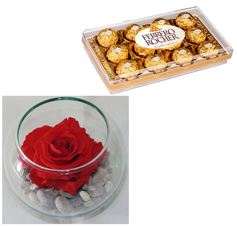  Rosa Preservada en Pecera y Bombones Ferrero Rocher 150 Grs